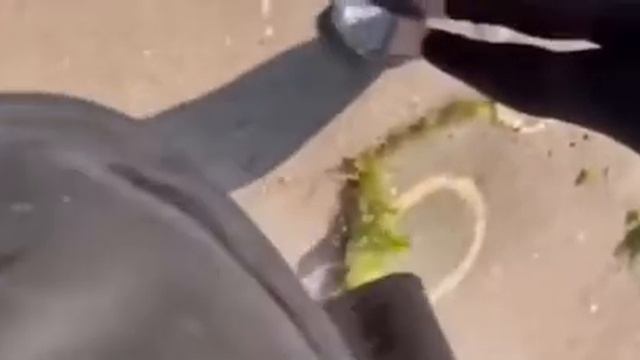 Лисичанск освобождён! Родные мы ждали вас! смотреть онлайн