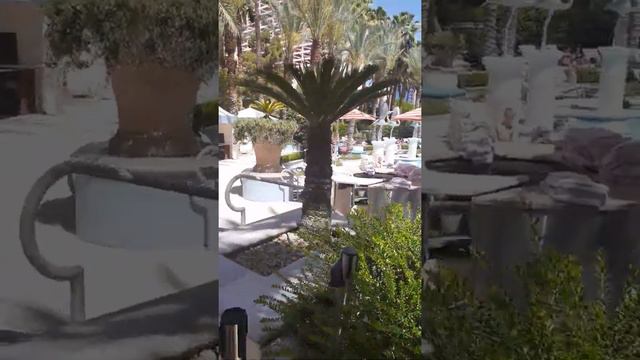 PINK FLAMINGO SWIMMING POOL AREA LAS VEGAS NEVADA / BEST THINGS TO DO IN LAS VEGAS смотреть онлайн