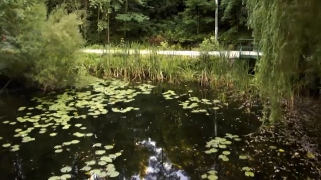Jen malá ukázka... смотреть онлайн