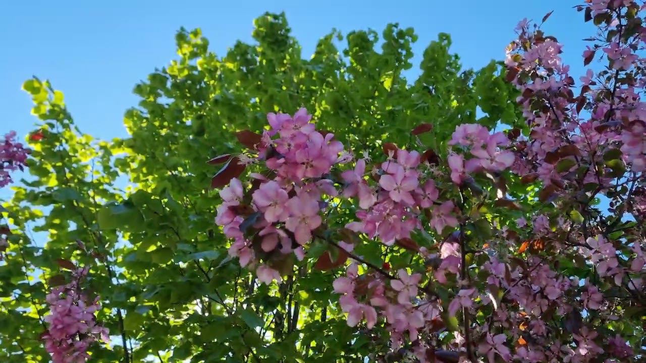 Уфа весенняя смотреть онлайн