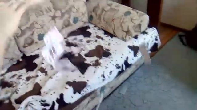 Магнитные карты смотреть онлайн