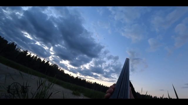 ОХОТА НА УТОК с МАНКОМ и ЧУЧЕЛАМИ на перелете. Много утки, налетают со всех сторон смотреть онлайн