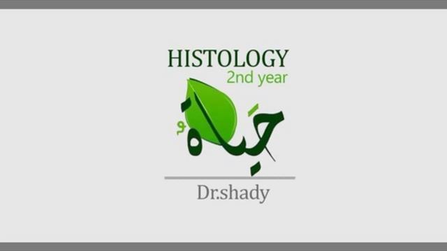 Histo endo 2 смотреть онлайн