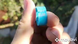 Напали на КУР кто собаки или ЧУПАКАБРА