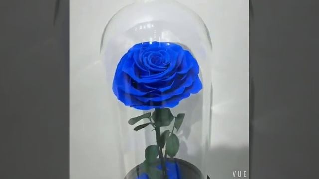 Роза в колбе смотреть онлайн