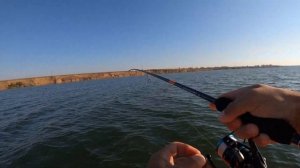 Рыбалка на ВЕСЁЛОВСКОМ водохранилище! Ловля окуня на джиг!