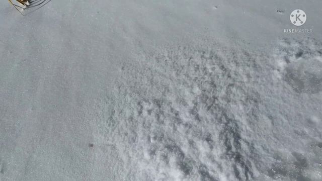 Окунь на опарыша смотреть онлайн