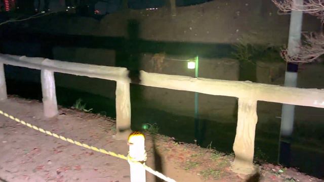 【4KHDR】 心霊スポット 070 栃木県小山市 城山公園 Night Walk In Japan | HUNT | Haunted | 【心霊映像】