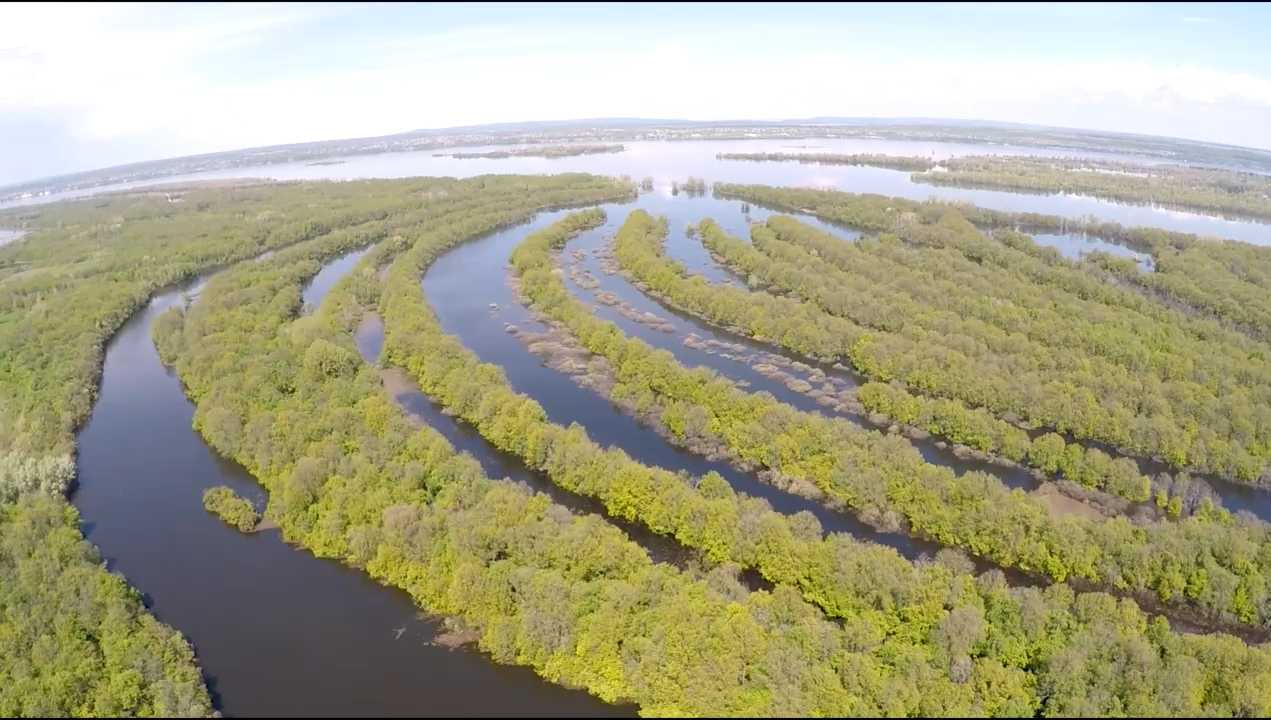 Студеный ерик. Безенчукский район Самарской области. смотреть онлайн