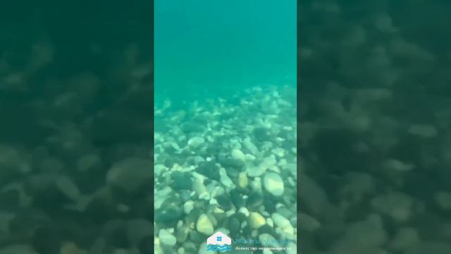 Безлюдные чистые пляжи Черного моря. переезжайте жить в Сочи с Агентством недвижимости Мечты у моря смотреть онлайн