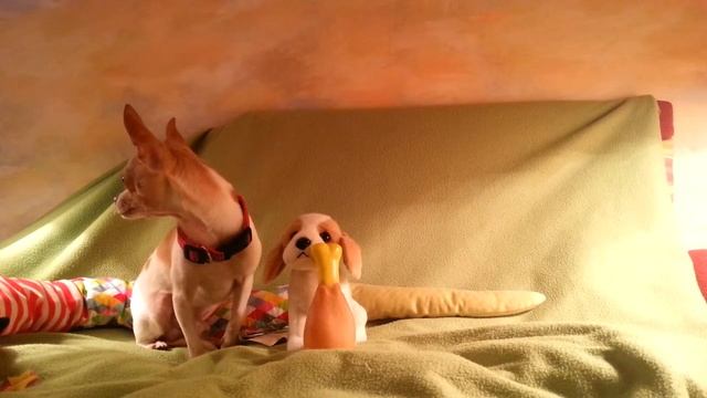 Мои любимые игрушки! :-) смотреть онлайн