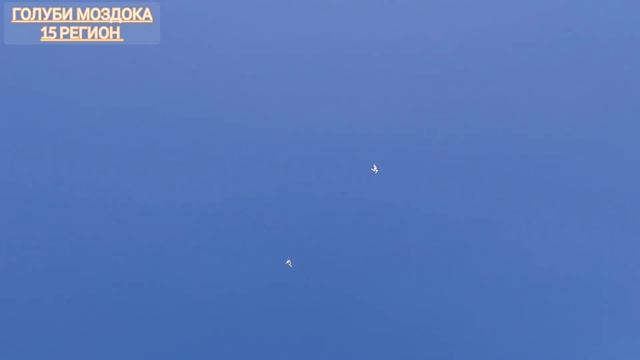 Бакинские белые (отрывок) смотреть онлайн