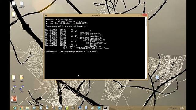 Copy files to Orange Pi with SSH protocol смотреть онлайн