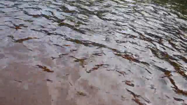 Вываживание хариуса смотреть онлайн