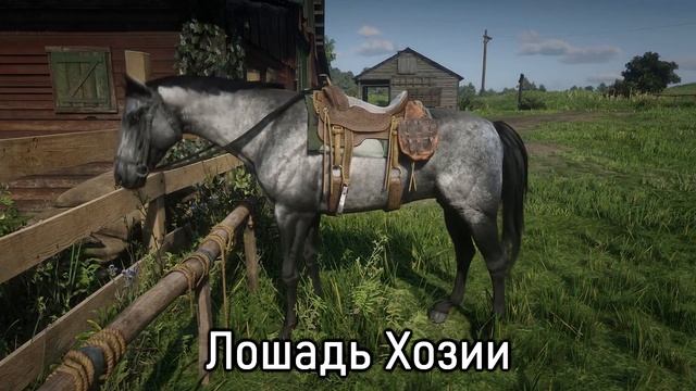 11 лошадей банд в Red Dead Redemption 2 смотреть онлайн