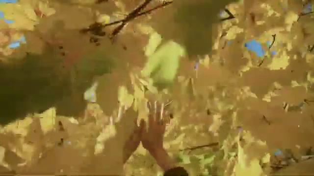 ЖЕНЩИНА-ОСЕНЬ смотреть онлайн