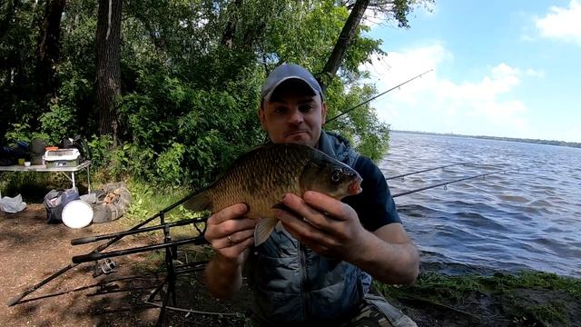 Ловля Огромных карасей на Днепре! смотреть онлайн