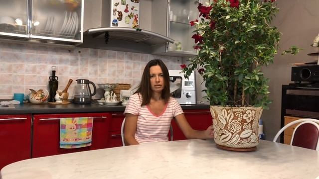ДИПЛАДЕНИЯ ЧТОБЫ ЦВЕЛА ЗИМОЙ смотреть онлайн