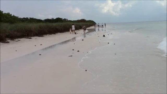 Острова Ки Вест и дом Хемингуэя смотреть онлайн