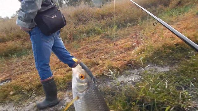 Рыбалка на Сазоне, 17.09.2021г. смотреть онлайн