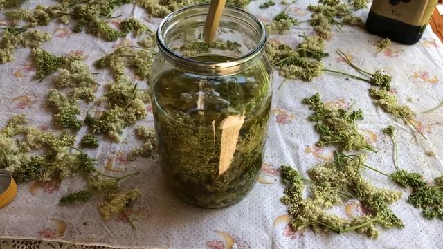 Заготовка масла таволги смотреть онлайн