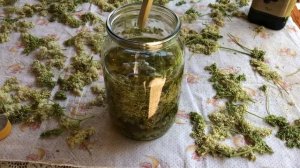 Заготовка масла таволги