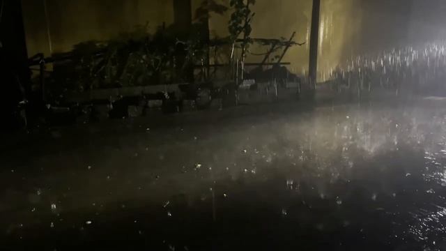 99% мгновенно засыпают Шум дождя на крыше в тропическом лесу Звуки дождя и грома для сна смотреть онлайн