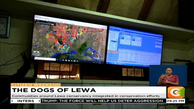 | THE DOGS OF LEWA | Lewa conservancy using dogs to track down poachers смотреть онлайн