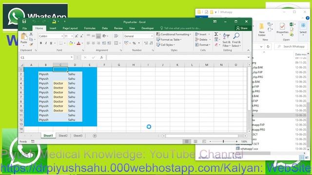 WhatsApp Automation using Visual FoxPro: Send PDF file to WhatsApp No. directly using FoxPro. смотреть онлайн