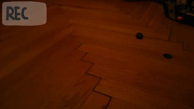 Меха аксолотоль в реальной жизни смотреть онлайн