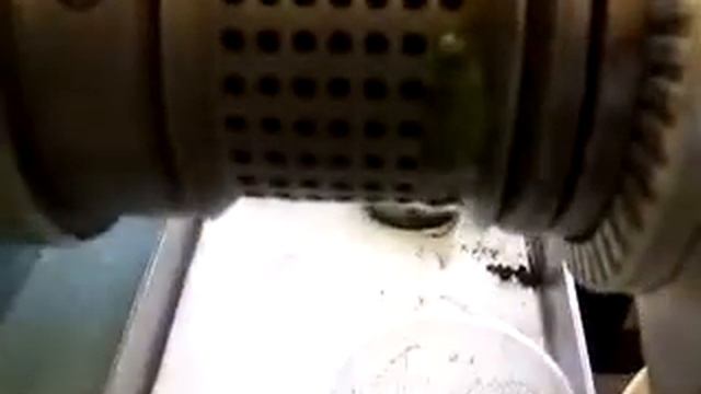 Маслопресс масло крапивы