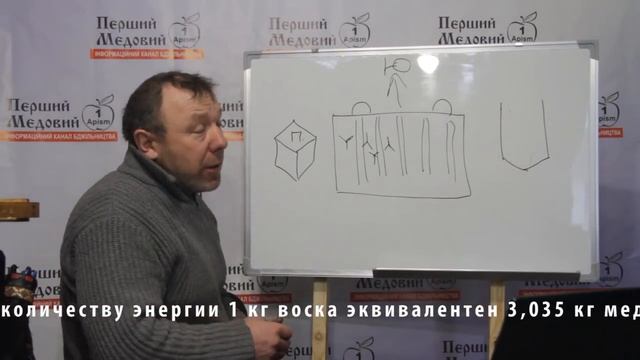 Загадки пчел при строительстве сотов смотреть онлайн