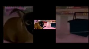 1000006791.mp4