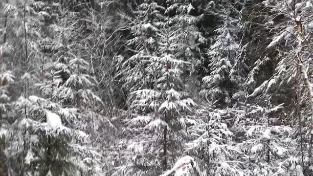 Снежная зима / Наш мотоблок и буржуйка смотреть онлайн