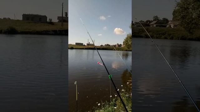 ловля карпа на макуху смотреть онлайн