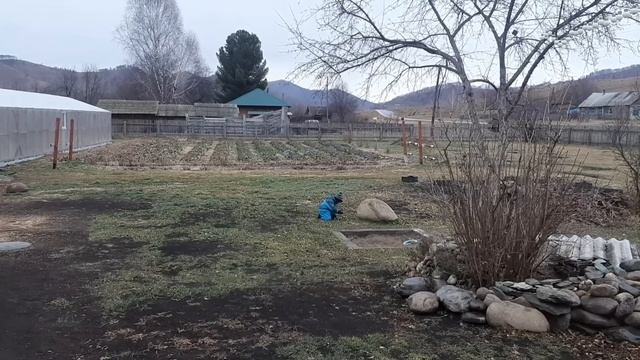 Неудачная поездка в церковь. Помидорки разлетаются, как горячие пирожки. Снова уборка территории. смотреть онлайн