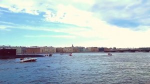 Санкт-Петербург —  Гордая белая птица ?Олег Кваша. #видеоVeneraSPB