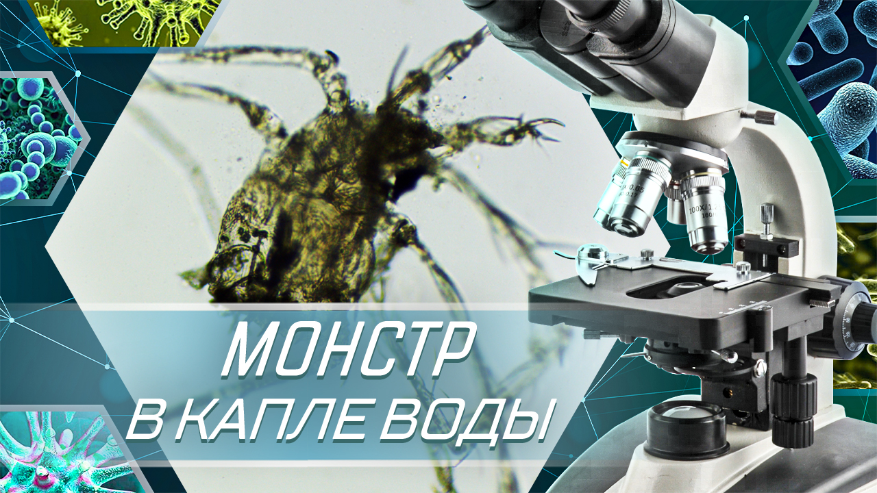 Монстр в капле воды из озера под микроскопом. смотреть онлайн