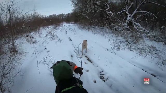 ?Как утащить на себе 40 кг снаряжения для охоты ? ПиКонь 3.0 одноколесная тележка для охотника? смотреть онлайн