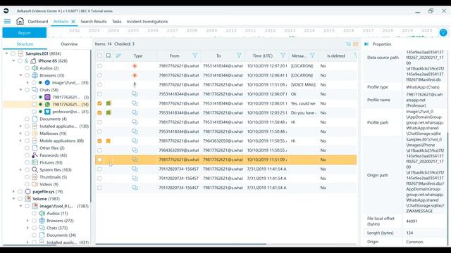 Bookmarks in Belkasoft X смотреть онлайн