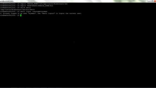 12c oem template export and import.AVI смотреть онлайн