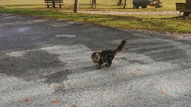 Съёмки в шоу «Фермер ищет жену»┃ Часть 2. After-party