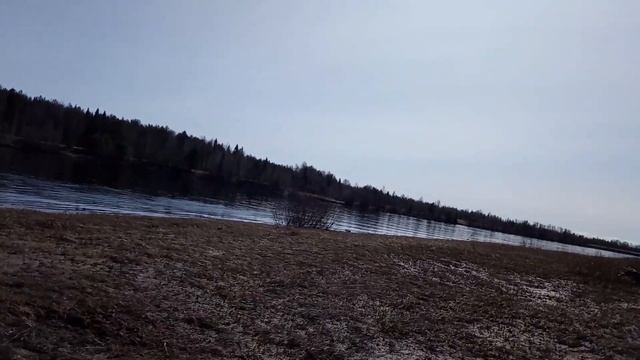 Мотоблоком за дровами немного буксовал на грязный песке перегрузонным бревнами смотреть онлайн