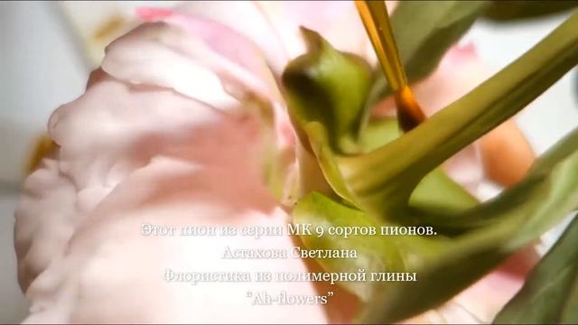 Мастер-класс Пион Сьюзи Кью Флористическая глина (холодный фарфор) смотреть онлайн