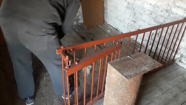 Цветет ФОРЗИЦИЯ, редиска взошла. смотреть онлайн