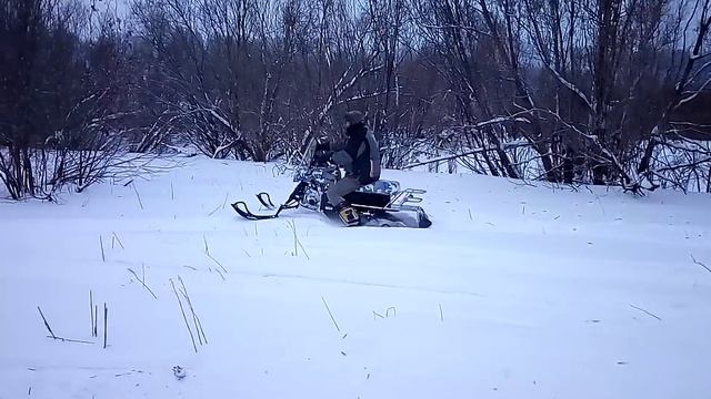 Динго 125 смотреть онлайн