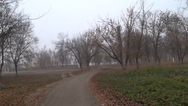 ВИТИЛИГО. КОПАЕМ ГЛУБЖЕ. Малахов. смотреть онлайн