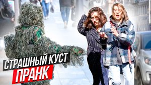 Почему все боятся этого куста? ПРАНК / Розыгрыш над людьми