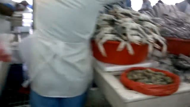 Fish market in Palm Deira Dubai смотреть онлайн