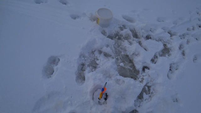 РЫБОЛОВУ ПОВЕЗЛО ПОЙМАТЬ ОГРОМНЫХ ЩУК НА ЗИМНЕЙ РЫБАЛКЕ. Winter fishing смотреть онлайн